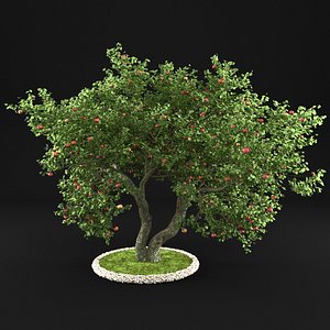 3D apple tree