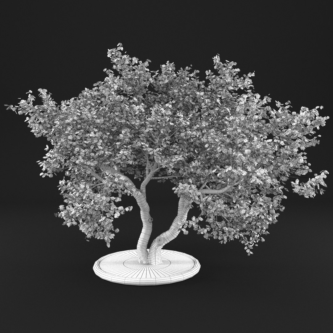 3D apple tree https://p.turbosquid.com/ts-thumb/Vc/Gc1fK7/pKncyZ5h/20000/png/1495363312/1920x1080/fit_q87/6082cafe21053424c5cc62add52846fa7b227756/20000.jpg