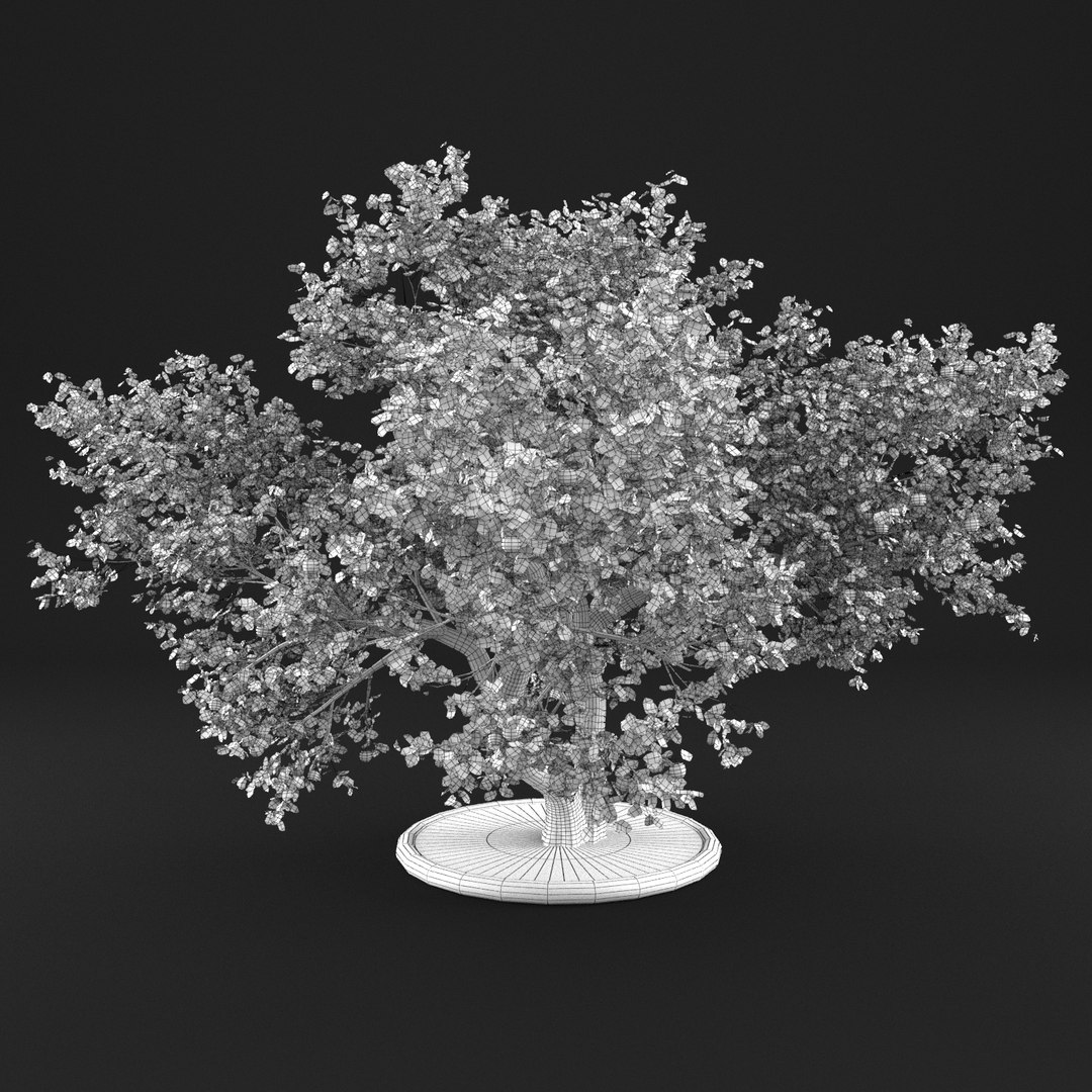 3D apple tree https://p.turbosquid.com/ts-thumb/Vc/Gc1fK7/uU57Kw9d/20003/png/1495363312/1920x1080/fit_q87/dd3f0ea99e2831637d76daad4776775a7652e7df/20003.jpg