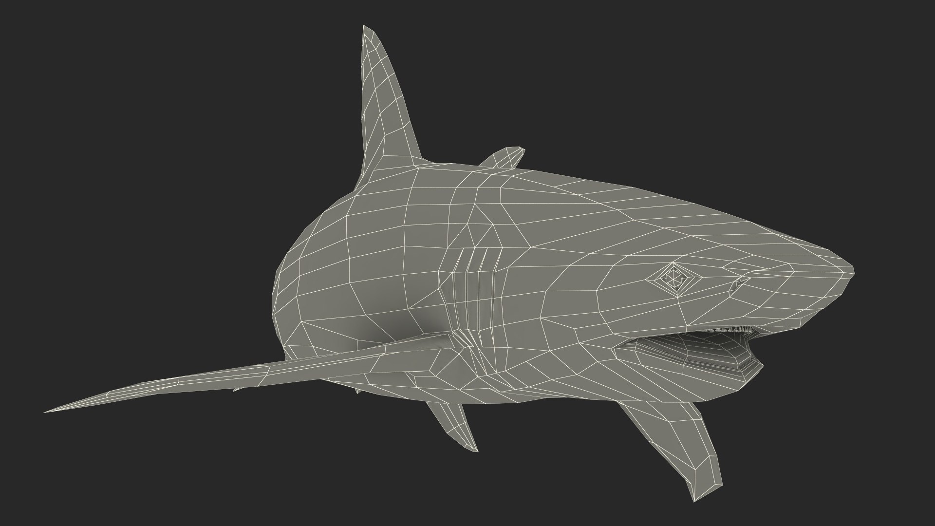 Carcharhinus Obscurus Shark 3D model https://p.turbosquid.com/ts-thumb/Vc/HWlKw6/94/carcharhinusobscurusshark3dmodel028/jpg/1718827679/1920x1080/fit_q87/d302a67b42303674bcdc763b56487dd527dce72e/carcharhinusobscurusshark3dmodel028.jpg