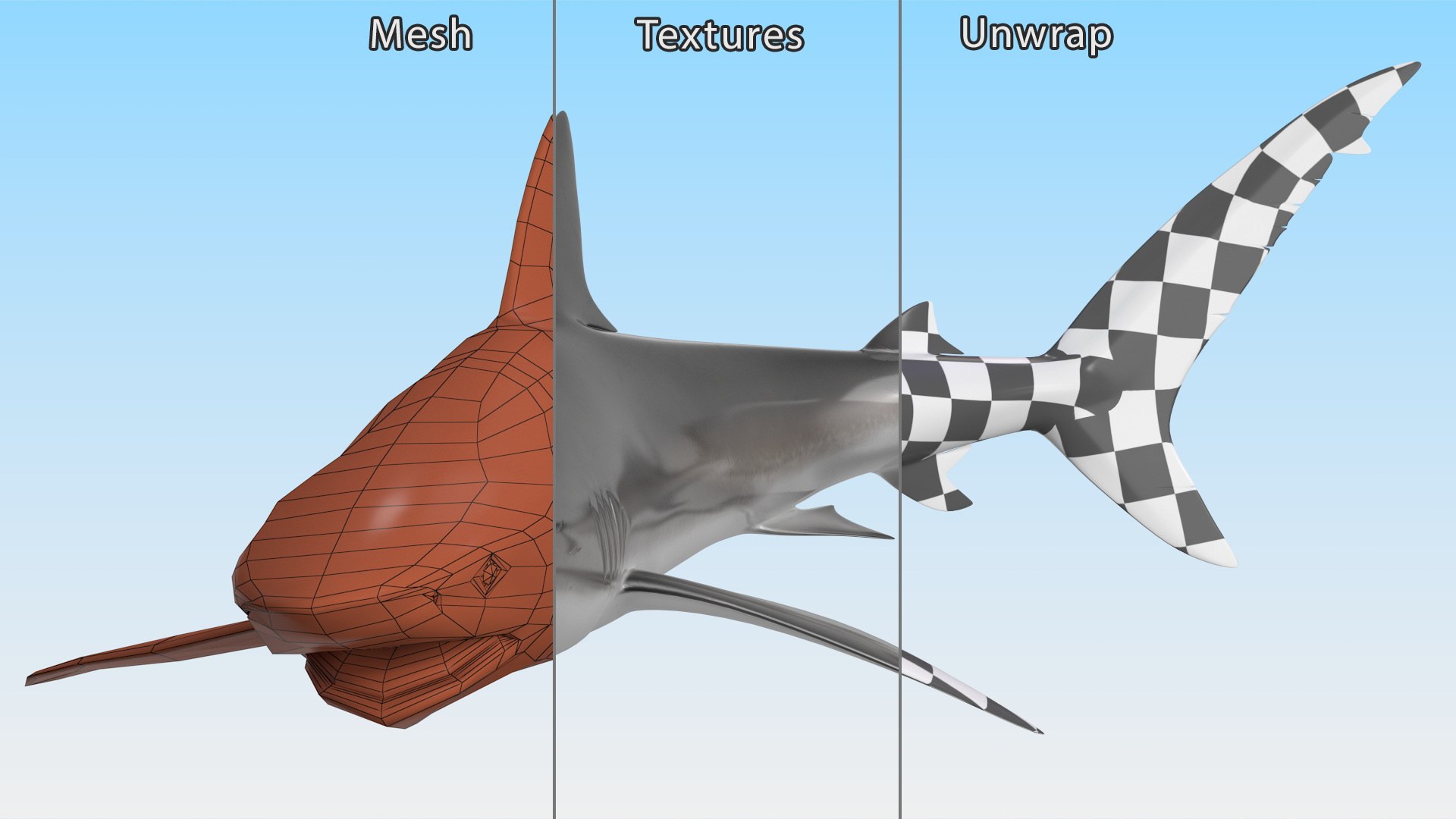 Carcharhinus Obscurus Shark 3D model https://p.turbosquid.com/ts-thumb/Vc/HWlKw6/G7/carcharhinusobscurusshark3dmodel018/jpg/1718827607/1920x1080/fit_q87/5401814bc0829893bddd0eaca2d7507e279c0e00/carcharhinusobscurusshark3dmodel018.jpg