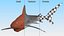Carcharhinus Obscurus Shark