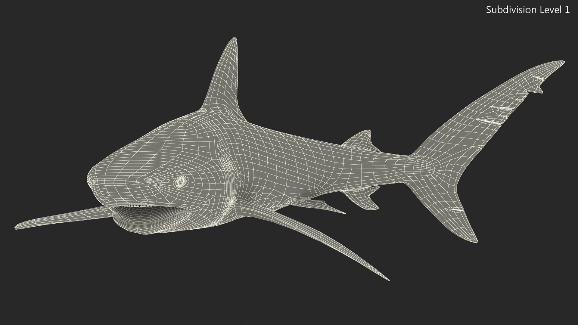 Carcharhinus Obscurus Shark 3D model https://p.turbosquid.com/ts-thumb/Vc/HWlKw6/MP/carcharhinusobscurusshark3dmodel020/jpg/1718827618/1920x1080/fit_q87/27bd805272946e01c201c67b6bd4e83f77b44c68/carcharhinusobscurusshark3dmodel020.jpg