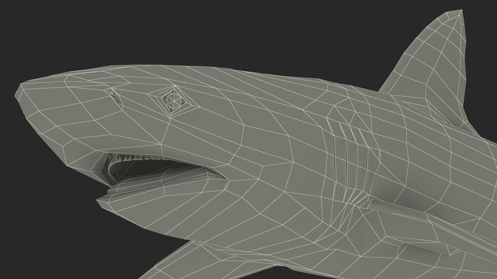 Carcharhinus Obscurus Shark 3D model https://p.turbosquid.com/ts-thumb/Vc/HWlKw6/PZ/carcharhinusobscurusshark3dmodel031/jpg/1718827694/1920x1080/fit_q87/3fde5898b27fab48dc587b79a16b453b6adc20f3/carcharhinusobscurusshark3dmodel031.jpg