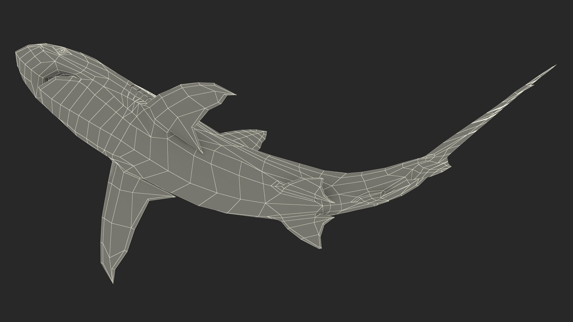 Carcharhinus Obscurus Shark 3D model https://p.turbosquid.com/ts-thumb/Vc/HWlKw6/hi/carcharhinusobscurusshark3dmodel030/jpg/1718827689/1920x1080/fit_q87/8d04a657d558e816a896230dd9356fc93466864a/carcharhinusobscurusshark3dmodel030.jpg