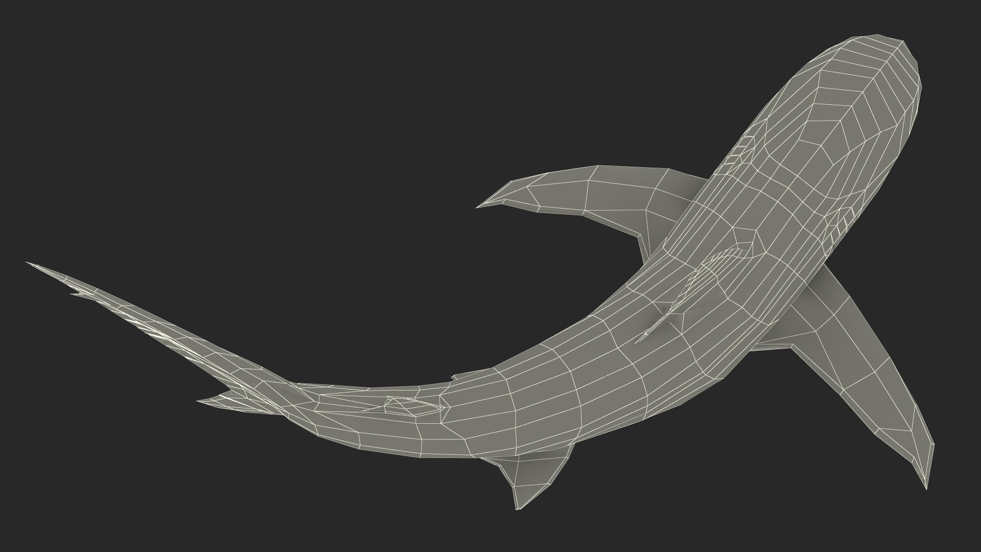Carcharhinus Obscurus Shark 3D model https://p.turbosquid.com/ts-thumb/Vc/HWlKw6/jJ/carcharhinusobscurusshark3dmodel029/jpg/1718827684/1920x1080/fit_q87/80587cad668f9166f2d03951e6201aa831c620cd/carcharhinusobscurusshark3dmodel029.jpg