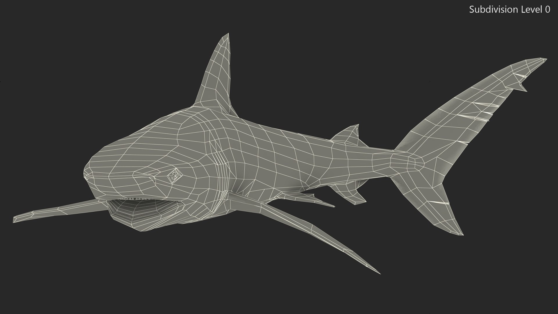 Carcharhinus Obscurus Shark 3D model https://p.turbosquid.com/ts-thumb/Vc/HWlKw6/vX/carcharhinusobscurusshark3dmodel019/jpg/1718827612/1920x1080/fit_q87/80d7e56390d9c56c424246f82e89ea8bbaab2efc/carcharhinusobscurusshark3dmodel019.jpg