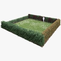 Fagus Sylvatica Hedgerow Set