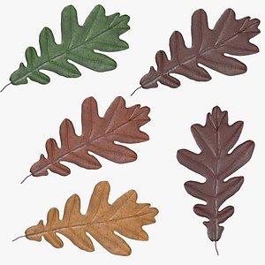 3d x oak leafs 05