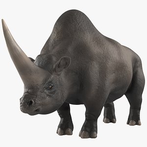 Elasmatherium Neutral Pose