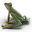 Tree Frog Rigged