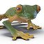 Tree Frog Rigged