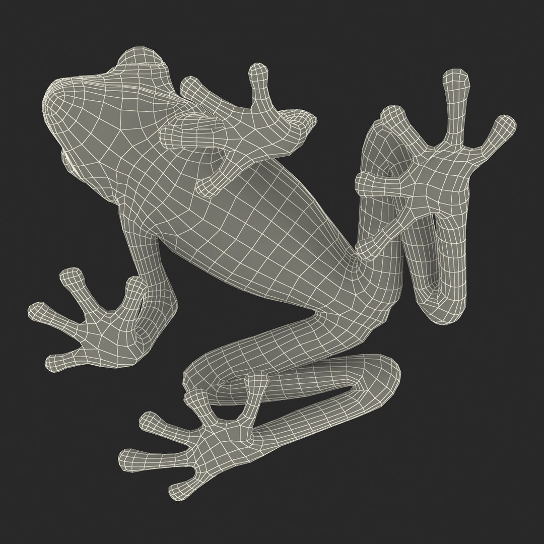 3d max tree frog rigged https://p.turbosquid.com/ts-thumb/Vc/UB9IPC/6EtcGFHW/treefrogrigged3dmodel50/jpg/1455010140/1920x1080/fit_q87/e66039683c55e70198ce5ca8e9ba54231cd7def3/treefrogrigged3dmodel50.jpg