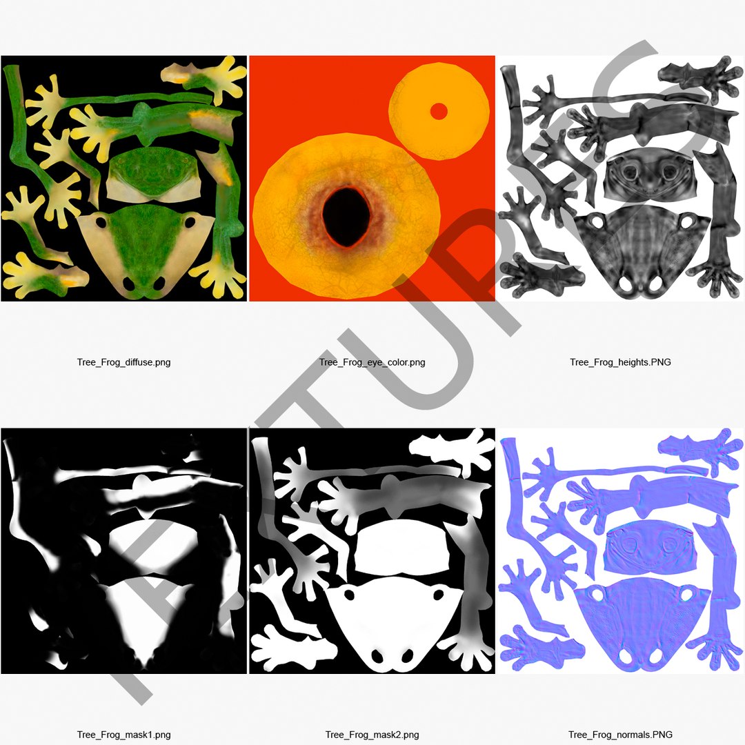 3d max tree frog rigged https://p.turbosquid.com/ts-thumb/Vc/UB9IPC/6UQ6Fevl/treefrogrigged3dmodel45/jpg/1455010139/1920x1080/fit_q87/03739cc2d945c1f91bee59f05e0688e4c5033c19/treefrogrigged3dmodel45.jpg
