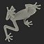 Tree Frog Rigged