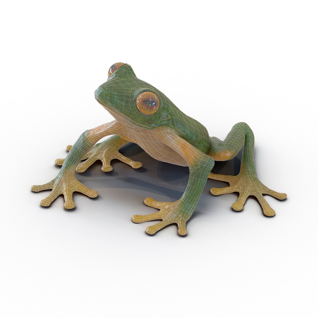 3d max tree frog rigged https://p.turbosquid.com/ts-thumb/Vc/UB9IPC/8AeG75dA/treefrogrigged3dmodel02/jpg/1455010136/1920x1080/fit_q87/649fd229fe42f2b0a69d45c7628f31d9e4023c27/treefrogrigged3dmodel02.jpg
