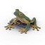 Tree Frog Rigged