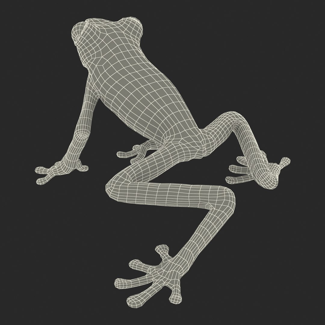 3d max tree frog rigged https://p.turbosquid.com/ts-thumb/Vc/UB9IPC/8WqUIq8F/treefrogrigged3dmodel58/jpg/1455010140/1920x1080/fit_q87/0d317cc080301429da6b1b7af60dc9c6748e80f9/treefrogrigged3dmodel58.jpg
