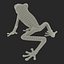 Tree Frog Rigged