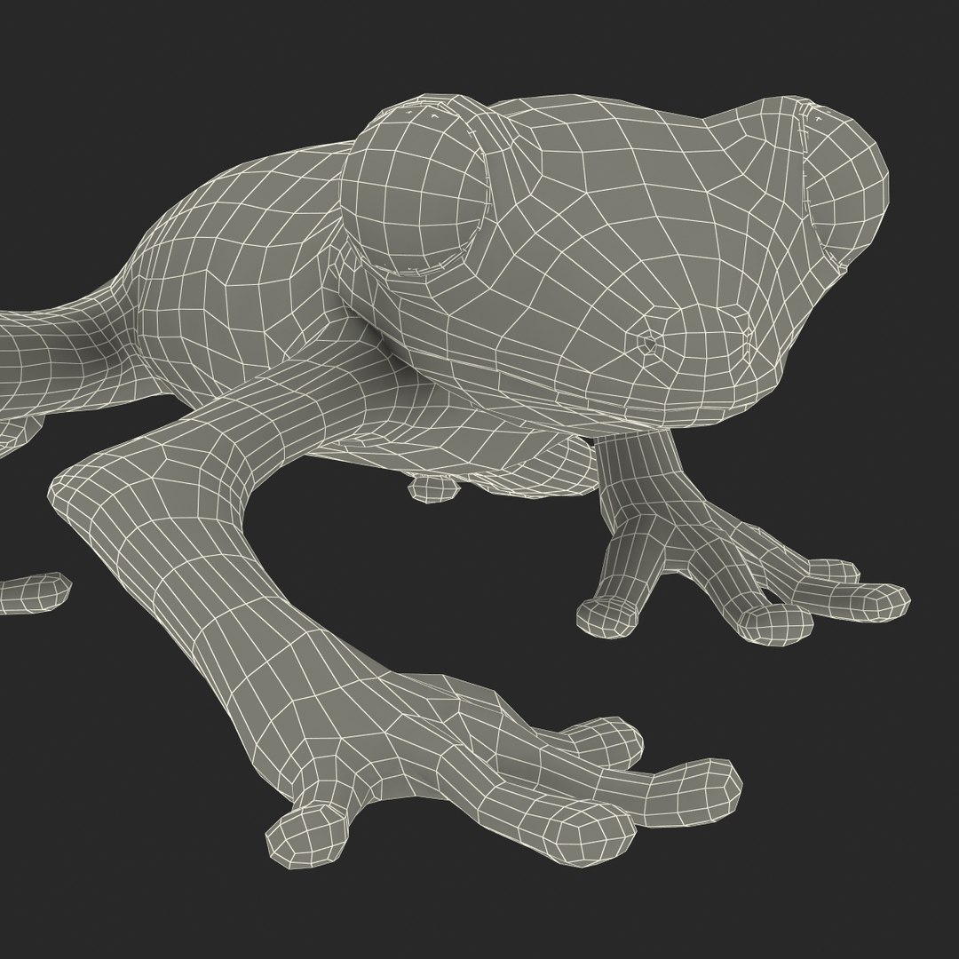 3d max tree frog rigged https://p.turbosquid.com/ts-thumb/Vc/UB9IPC/8iH2A3Va/treefrogrigged3dmodel66/jpg/1455010141/1920x1080/fit_q87/8a313a37612fd80390216fddb7dd8ade12bca7c3/treefrogrigged3dmodel66.jpg