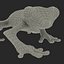 Tree Frog Rigged