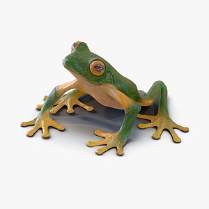 3d max tree frog rigged