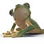 Tree Frog Rigged