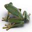 Tree Frog Rigged