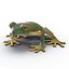 Tree Frog Rigged