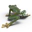 Tree Frog Rigged
