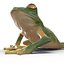 Tree Frog Rigged