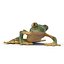 Tree Frog Rigged