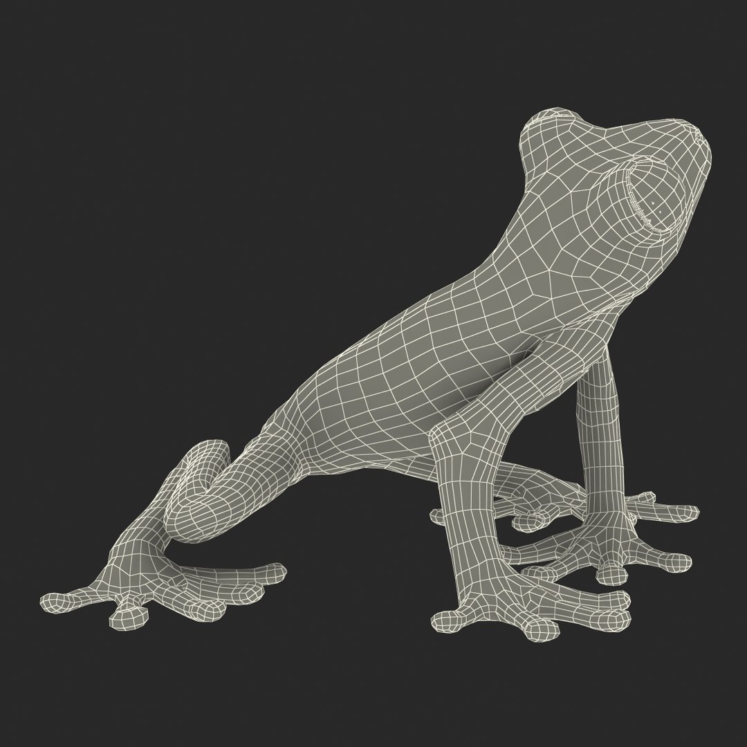3d max tree frog rigged https://p.turbosquid.com/ts-thumb/Vc/UB9IPC/SMdGKBDX/treefrogrigged3dmodel61/jpg/1455010141/1920x1080/fit_q87/238dbee07075231f171c2d5234f969d887a31d96/treefrogrigged3dmodel61.jpg