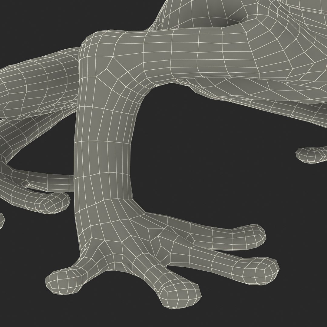 3d max tree frog rigged https://p.turbosquid.com/ts-thumb/Vc/UB9IPC/UElqETuM/treefrogrigged3dmodel64/jpg/1455010141/1920x1080/fit_q87/49f6bce2c3db68f4818fd512b0997f828f7a1e84/treefrogrigged3dmodel64.jpg