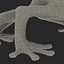 Tree Frog Rigged