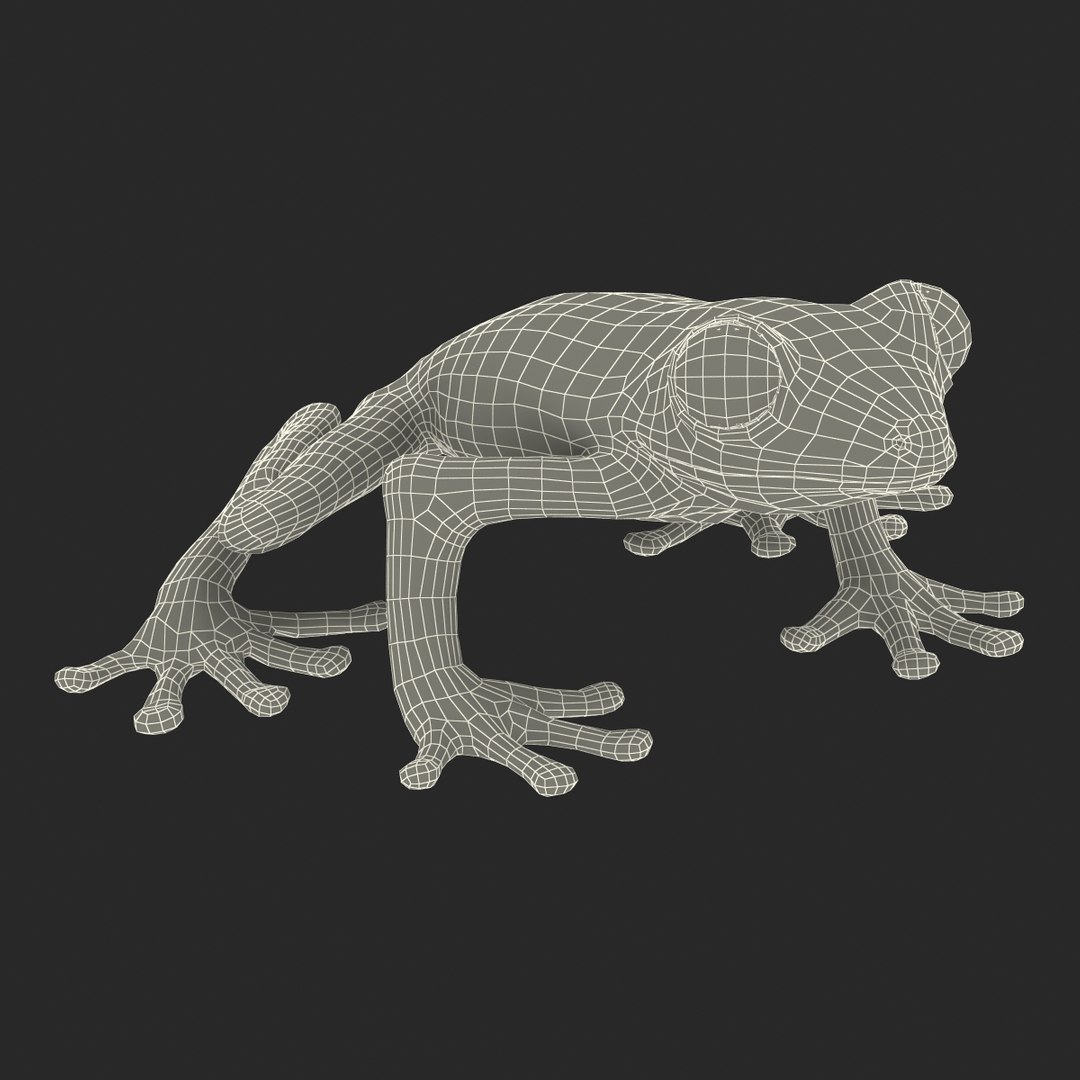 3d max tree frog rigged https://p.turbosquid.com/ts-thumb/Vc/UB9IPC/VILeNgrY/treefrogrigged3dmodel47/jpg/1455010139/1920x1080/fit_q87/9a7854a0d8e51adb889f526f1b31db17b5d95c75/treefrogrigged3dmodel47.jpg