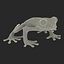 Tree Frog Rigged