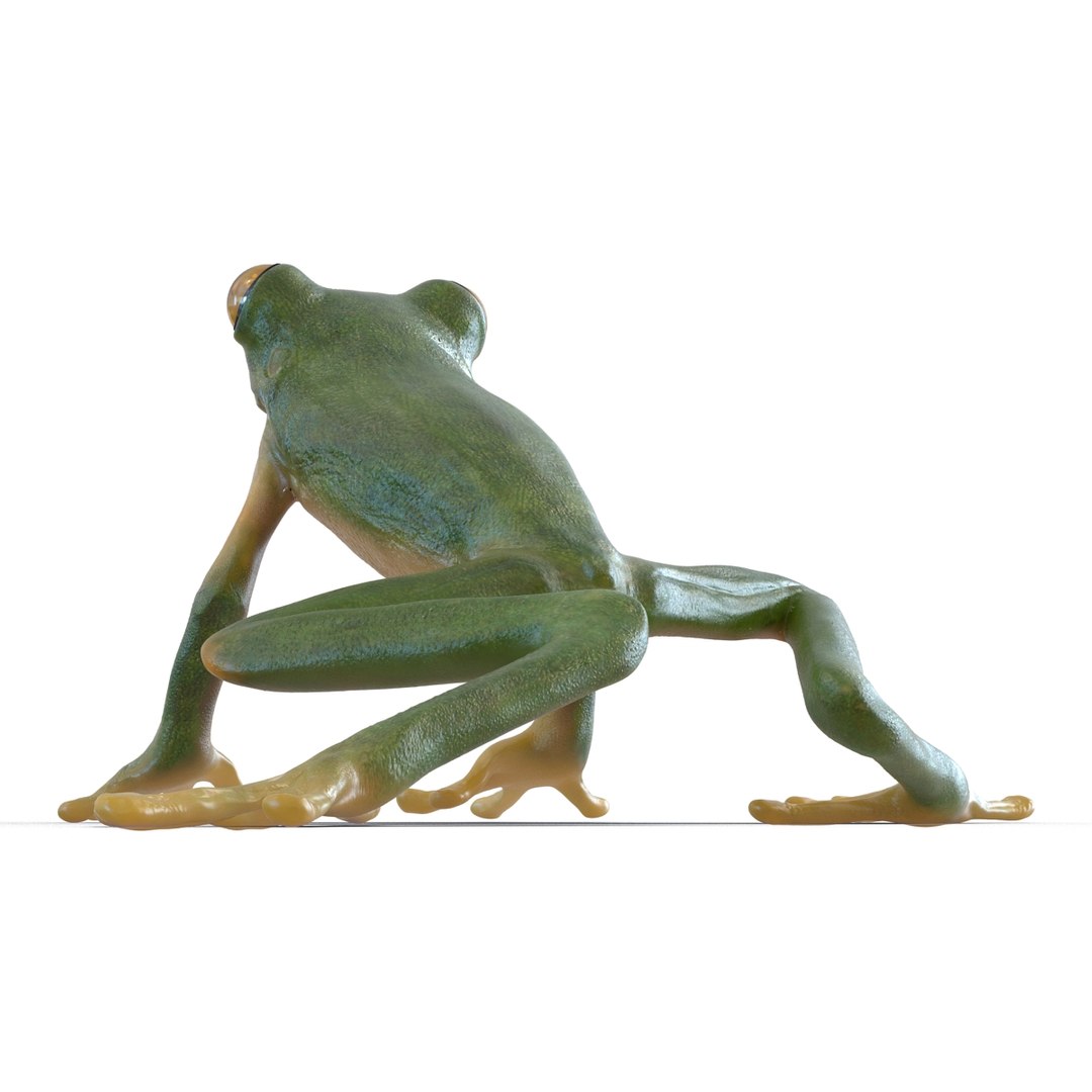 3d max tree frog rigged https://p.turbosquid.com/ts-thumb/Vc/UB9IPC/WjXspKXr/treefrogrigged3dmodel16/jpg/1455010137/1920x1080/fit_q87/7739498c458b10d840a49f9f10bc9dc838add392/treefrogrigged3dmodel16.jpg