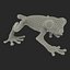 Tree Frog Rigged