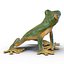 Tree Frog Rigged
