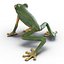 Tree Frog Rigged