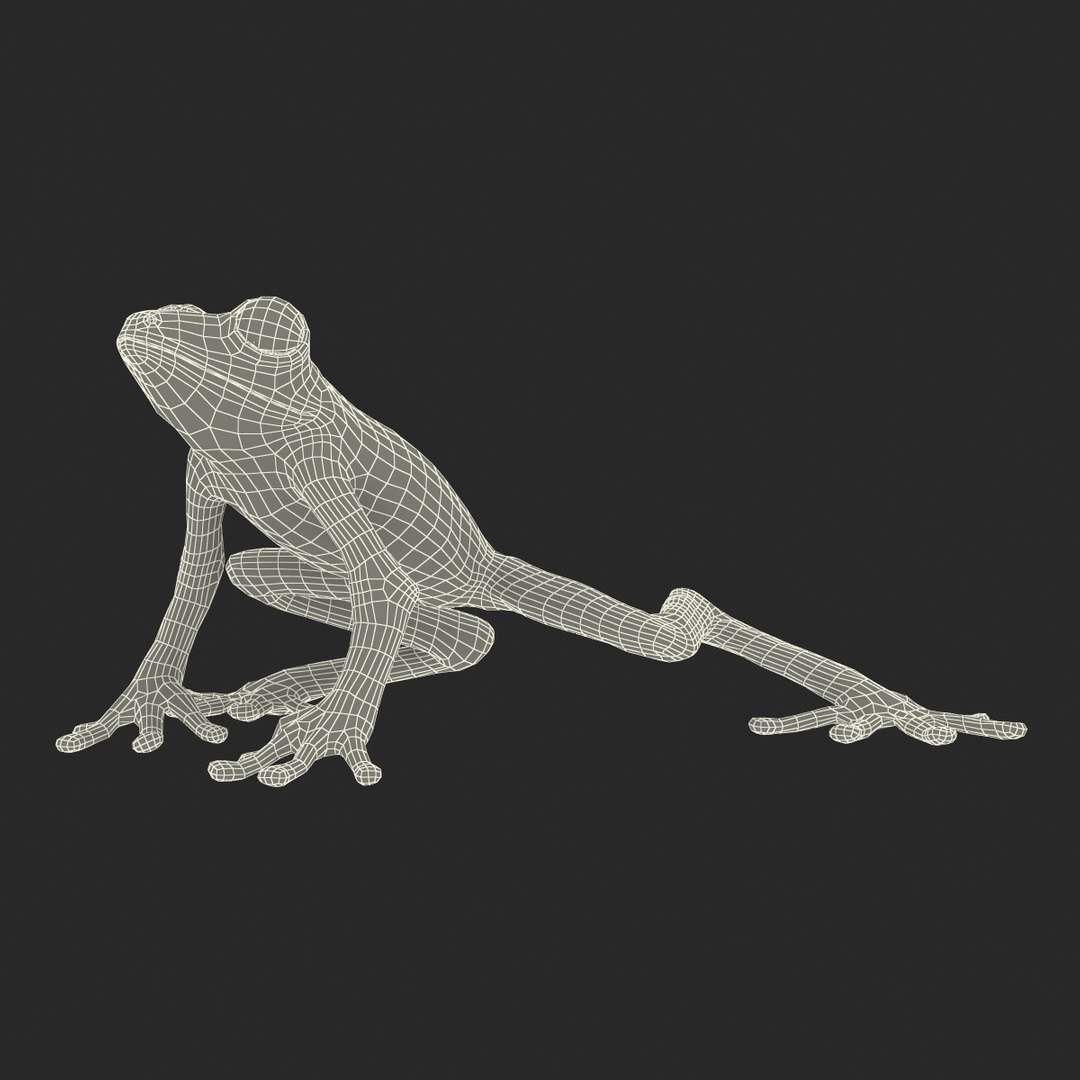 3d max tree frog rigged https://p.turbosquid.com/ts-thumb/Vc/UB9IPC/ZmNpefLM/treefrogrigged3dmodel57/jpg/1455010140/1920x1080/fit_q87/6db9dda9b353688b6df60ebfec1430d845471d6c/treefrogrigged3dmodel57.jpg