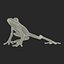 Tree Frog Rigged