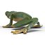 Tree Frog Rigged