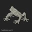 Tree Frog Rigged