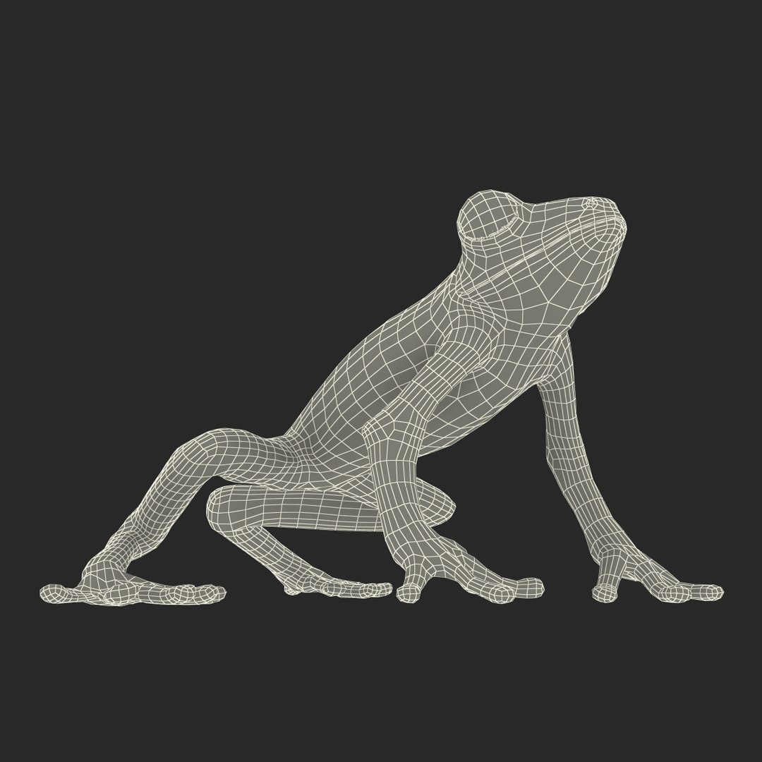 3d max tree frog rigged https://p.turbosquid.com/ts-thumb/Vc/UB9IPC/dBn4OxV5/treefrogrigged3dmodel56/jpg/1455010140/1920x1080/fit_q87/c3aaa75dceeaa9c6c222c512d27c7f99095f7a97/treefrogrigged3dmodel56.jpg