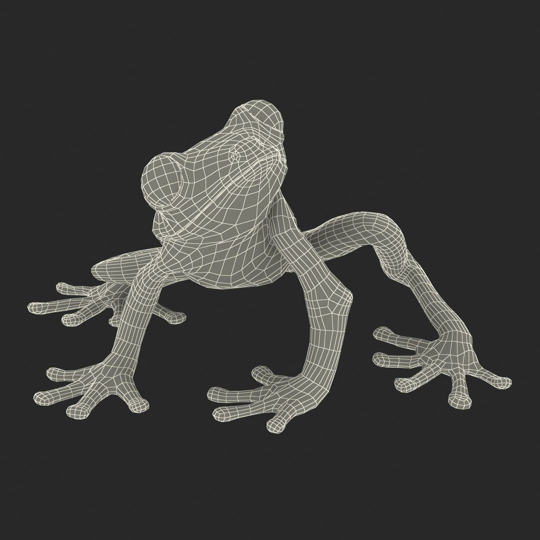 3d max tree frog rigged https://p.turbosquid.com/ts-thumb/Vc/UB9IPC/dSFDtDLm/treefrogrigged3dmodel60/jpg/1455010140/1920x1080/fit_q87/fd5c0b01d1c5d35c07d043b14dba2a323bdba133/treefrogrigged3dmodel60.jpg