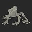 Tree Frog Rigged