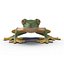 Tree Frog Rigged