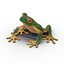 Tree Frog Rigged